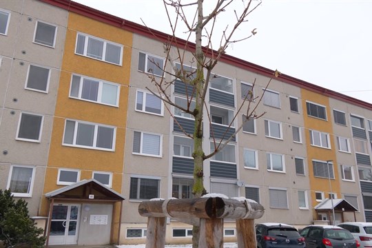 Uherské Hradiště vysadilo desítky nových stromů a keřů