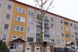 Uherské Hradiště vysadilo desítky nových stromů a keřů