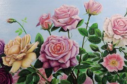 Magazín Hodonín 17. 1. 2026