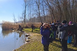 Pozorování ptáků s ornitology ke Světovému dni mokřadů