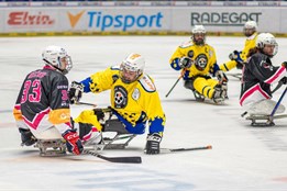 Sledge hokejisté Zlína nezvládli zápas v Ostravě a sezonu skončili na 4. místě