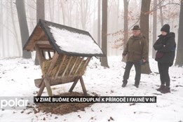 V zimě buďme ohleduplní k přírodě i fauně v ní, ve svém městě i na výletě v horách