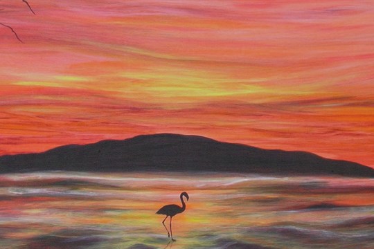 V Městském informačním centru vystavuje Lenka Karhanová