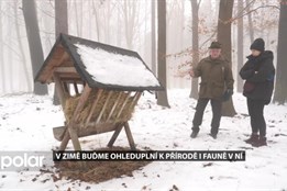 V zimě buďme ohleduplní k přírodě i fauně v ní, a to v městských lesích i na horách