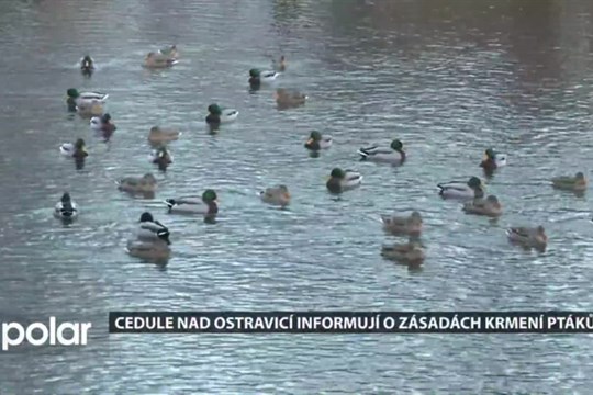 Zásady krmení ptactva přinášejí informační cedule nad Ostravicí