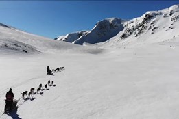 Opožděný Snow Film Fest lákal na osm filmů o dobrodružstvích a přírodě