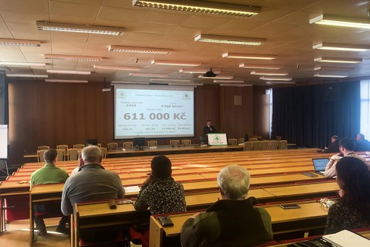 Městské lesy pořádaly holandskou dražbu těžby dřeva