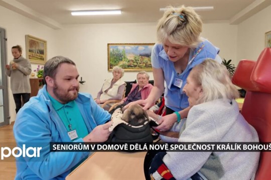 Seniorům v havířovském domově dělá nově společnost králík Bohoušek