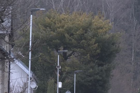 Nový Bor pokračuje ve výstavbě veřejného osvětlení