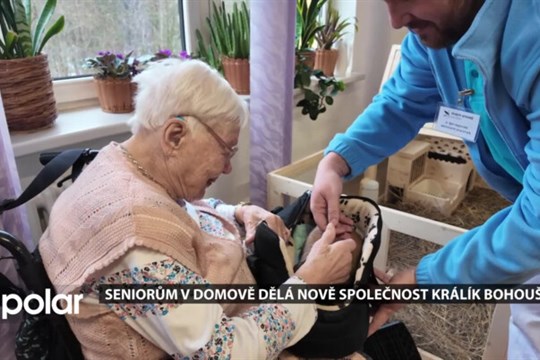 Králík Bohoušek dělá radost seniorům v Havířově