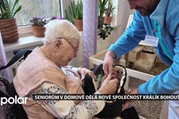 Králík Bohoušek dělá radost seniorům v Havířově