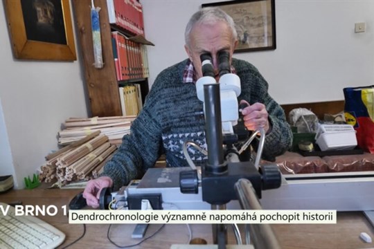 Dendrochronologie významně napomáhá pochopit historii