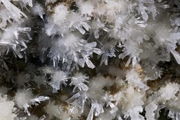 Zbrašovské aragonitové jeskyně se po zimní pauze znovu otevírají veřejnosti