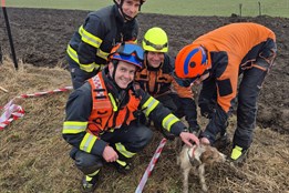 Šťastný konec záchrany chlupatého dobrodruha: Hasiči v Kroměříži vyprostili psa z betonové roury