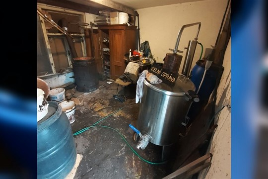 Kabongo mění dres. Talent z Viktorie odchází restartovat formu do Mladé Boleslavi