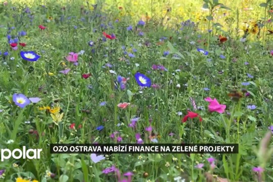 Výtěžek z reuse centra bude použit na zelené projekty. Zájem mají hlavně městské obvody