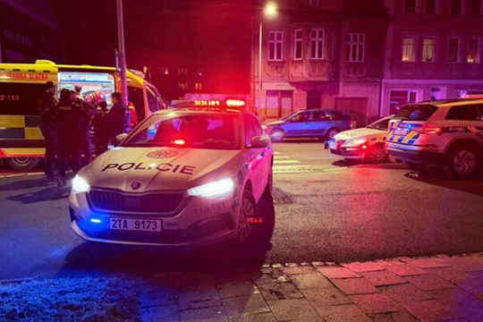 Muž a žena doma fyzicky i psychicky týrali příbuznou seniorku