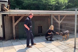 Zvířecí útulek v Jasenicích vylepšuje podmínky pro své chráněnce