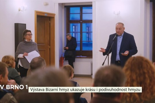 Výstava Bizarní hmyz ukazuje krásu i podivuhodnost hmyzu