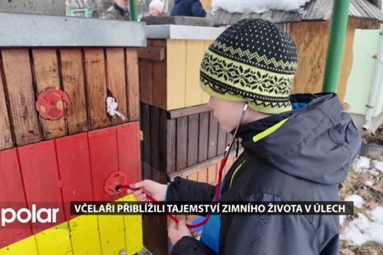 Včelařský kroužek Ambrožici přiblížil lidem tajemství zimního života v úlech