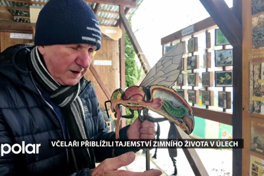 Včelařský kroužek Ambrožíci odhalil zimní tajemství úlu