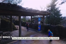 Zoo Brno má za sebou rekordní rok a chystá řadu novinek