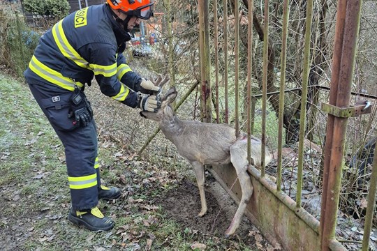 Šok hned po buly a střelecký zmar. Plzeň se ze sparťanského ledu vrací s prázdnou