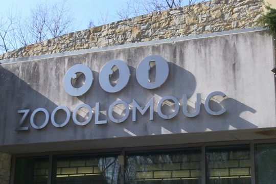 Zoo Olomouc zdraží vstupné, nově zvýhodní rodiče samoživitele