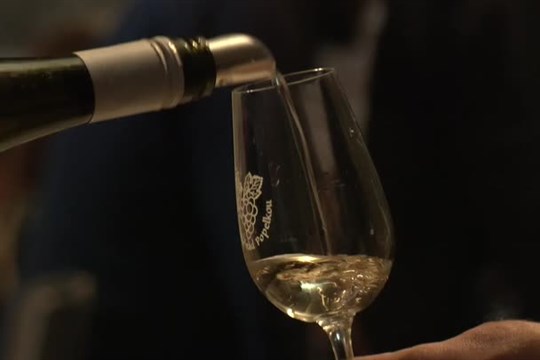 Na lomnický zámek se opět vrátili vinaři