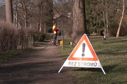 V Železném Brodě probíhá údržba zeleně