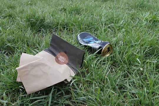 Na jaře proběhne úklid České Lípy