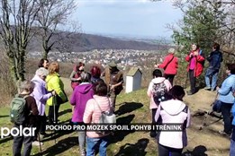 Zdraví mozku začíná pohybem. Knihovna Petra Bezruče v Opavě i letos uspořádala Pochod pro mozek