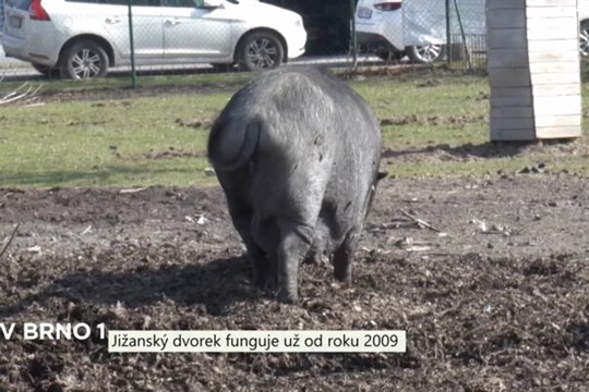 Jižanský dvorek funguje v Brně už od roku 2009