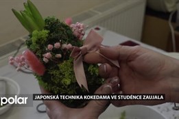 Japonská technika kokedama ve Studénce zaujala