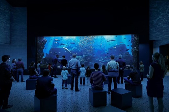 Olomoucká zoo staví centrum s největším žraločím akváriem v Česku