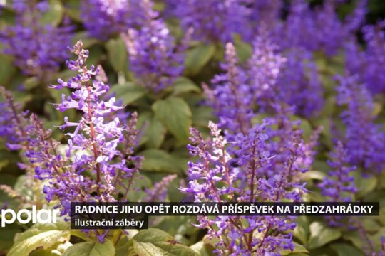 Radnice Ostravy-Jihu opět rozdává příspěvek na předzahrádky