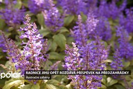 Radnice Ostravy-Jihu opět rozdává příspěvek na předzahrádky