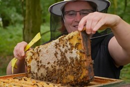 Hledají se chutě, které stojí za to