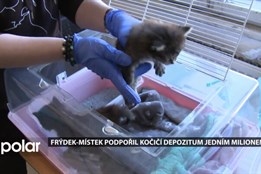 F-M: Milion pro Neposedné tlapky