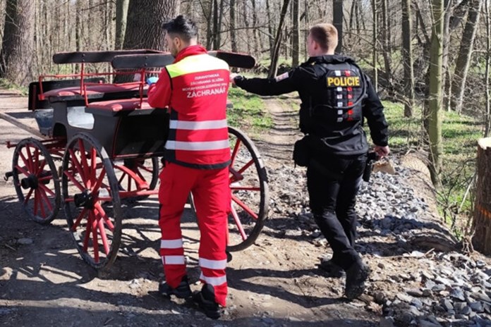 Splašený kůň zavinil nehodu povozu a zranění vozky