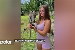 Z Karviné mezi tygří žraloky. Dorota ukazuje lidem ráj na zemi