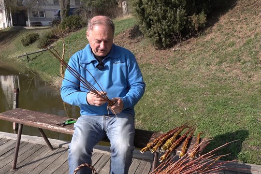 Pomlázka: tradice jara, která v Alojzově stále žije