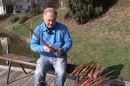 Pomlázka: tradice jara, která v Alojzově stále žije