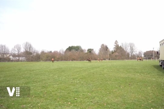 Do Pardubic přijel po zimě první cirkus