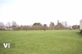 Do Pardubic přijel po zimě první cirkus