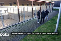 Primátorka Havířova navštívila útulek, ocenila péči o zvířata i zájem lidí