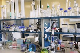 „Nesmrtelný ječmen“ v Olomouci: vědci testují unikátní experiment na poli