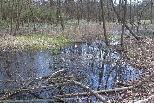 Olomouc jde na komáry chytře: méně štípanců, více pohody