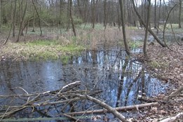 Olomouc jde na komáry chytře: méně štípanců, více pohody