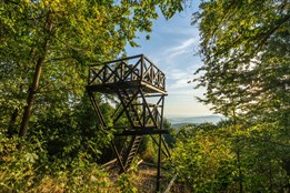 Aplikace EPU míří na Krumlovsko: pomáhá rozprostřít turisty z nejvíce přetížených lokalit do okolí